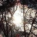 Pic_859.jpg